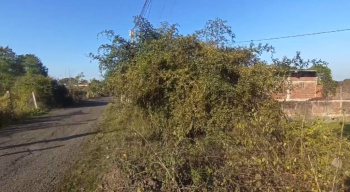 Industrial Land / Plot for Sale in Balitha, Vapi (2 Acre)