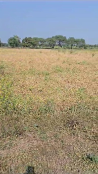 6 Acre Industrial Land / Plot for Sale in Umbergaon, Valsad