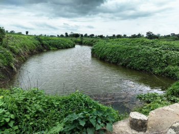 Agricultural/Farm Land for Sale in Dahanu, Palghar (100 Acre)