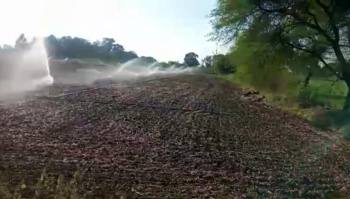 Agricultural/Farm Land for Sale in Dahanu, Palghar (55 Acre)