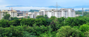 Agricultural/Farm Land for Sale in Dahanu, Palghar (18 Acre)