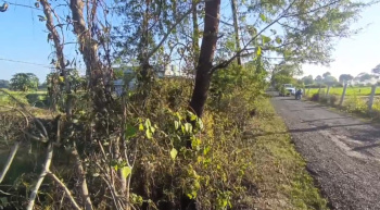 Agricultural/Farm Land for Sale in Dahanu, Palghar (27 Acre)