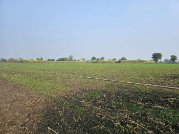 Agricultural/Farm Land for Sale in Dahanu, Palghar (49 Acre)