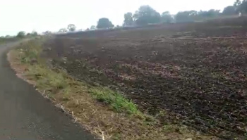 Agricultural/Farm Land for Sale in Dahanu, Palghar (40 Acre)