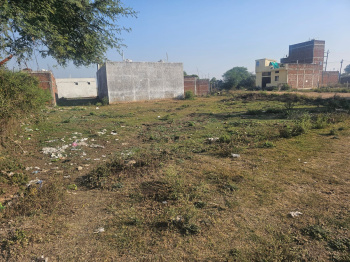 Agricultural/Farm Land for Sale in Dahanu, Palghar (104 Acre)