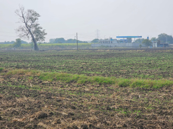 Agricultural/Farm Land for Sale in Dahanu, Palghar (38 Ares)