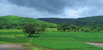 Agricultural/Farm Land for Sale in Dahanu, Palghar (27 Acre)