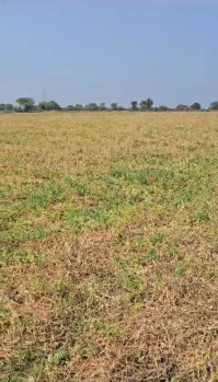 Agricultural/Farm Land for Sale in Dahanu, Palghar (45 Acre)