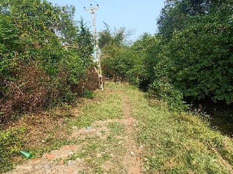 1Acer AGRICULTURE Land on sale at Vankal Dhrampur Road