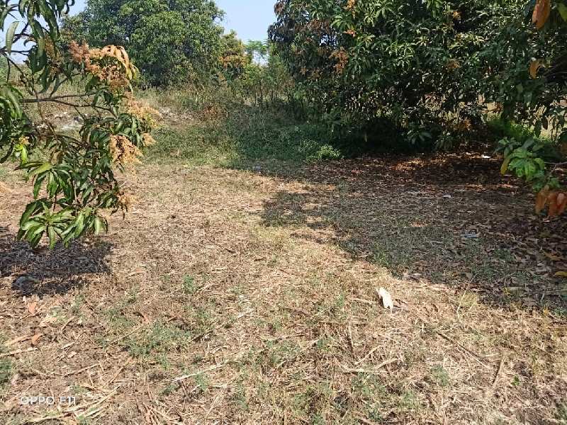 8 Vigha AGRICULTURE Land on sale at Near Gudlav Highway Valsad
