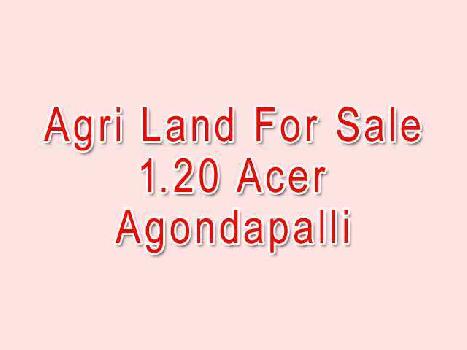 Agri land For Sale 1.20 in agondpalli hosur