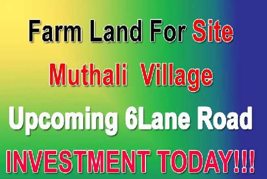 Farm land for  Sale in Muthali fron Hosur bus stand just 20min