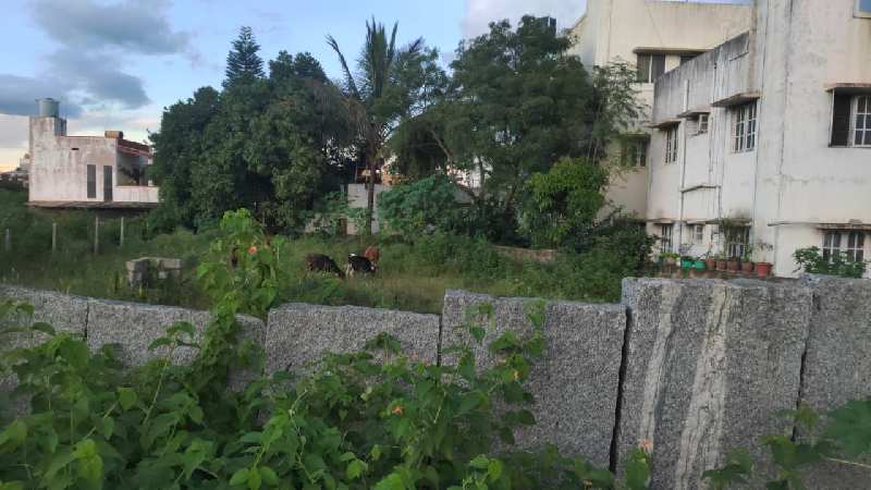 Independent plot  for Sale in MS Palya
