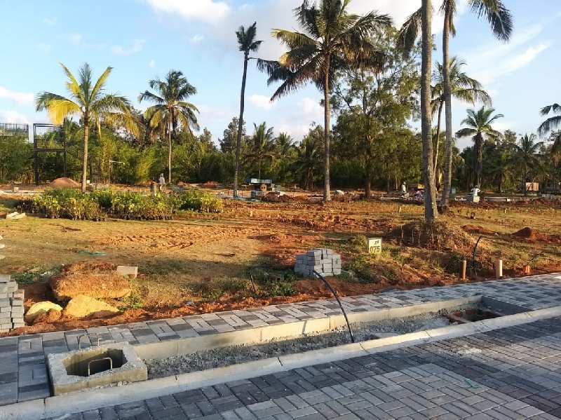 2400 Sq.ft. Residential Plot for Sale in Devanahalli, Bangalore