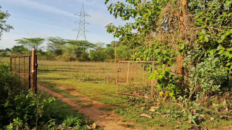 Prime 15 Acres Agricultural Land for Sale in Mysore, Adjacent to Mysore Airport