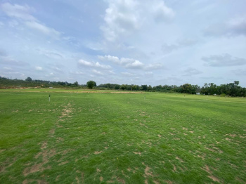 55 acres land at Gauribidanur, Bangalore