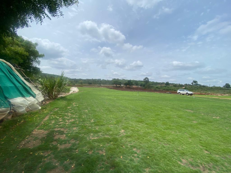 55 acres land at Gauribidanur, Bangalore