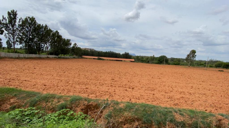 2 Acre Agricultural/Farm Land for Sale in Bangalore