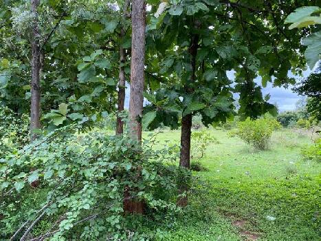 Agricultural land in Bangalore