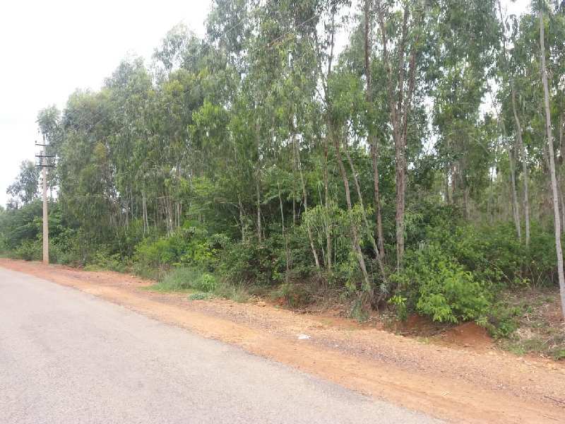 50 Acre Agricultural/Farm Land for Sale in Maddur, Bangalore