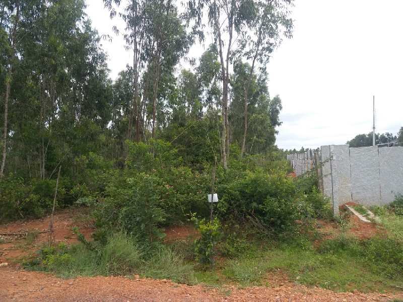 50 Acre Agricultural/Farm Land for Sale in Maddur, Bangalore