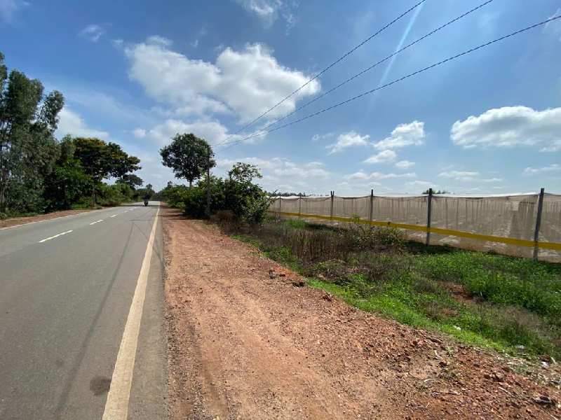 Agricultural Land For Sale in Bangalore