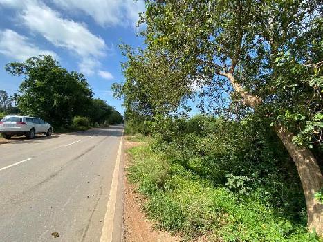 Agricultural Land For Sale in Kolar