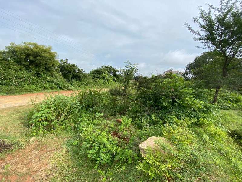 1 Ares Agricultural/Farm Land for Sale in Doddaballapur, Bangalore