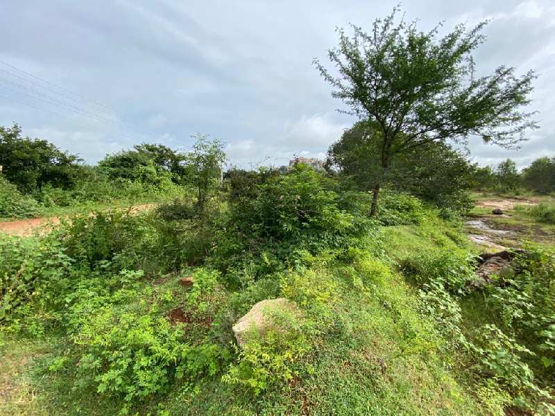 1 Ares Agricultural/Farm Land for Sale in Doddaballapur, Bangalore