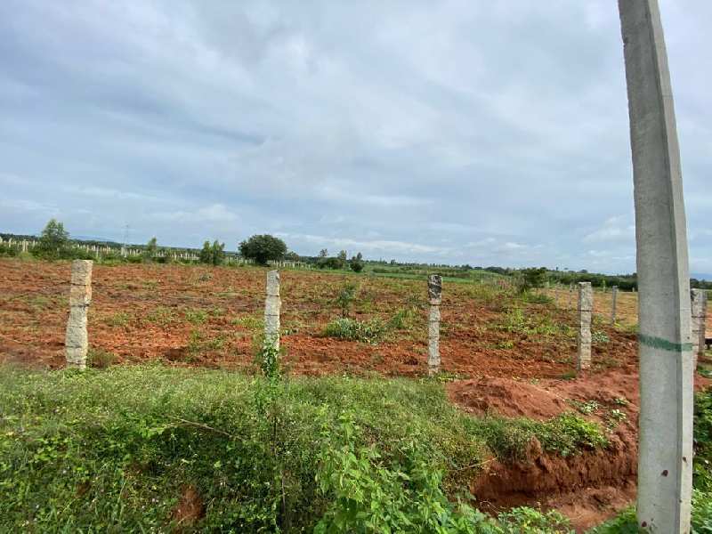 163 Guntha Agricultural/Farm Land for Sale in Doddaballapur, Bangalore