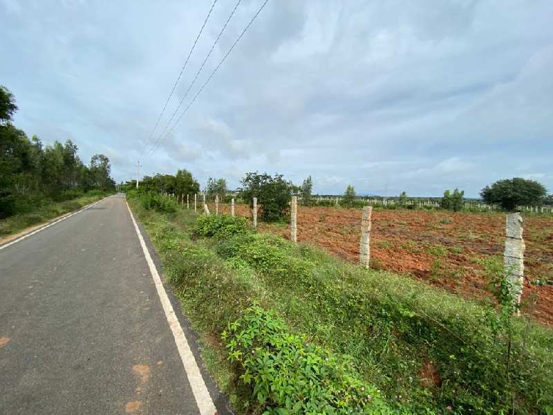 163 Guntha Agricultural/Farm Land for Sale in Doddaballapur, Bangalore