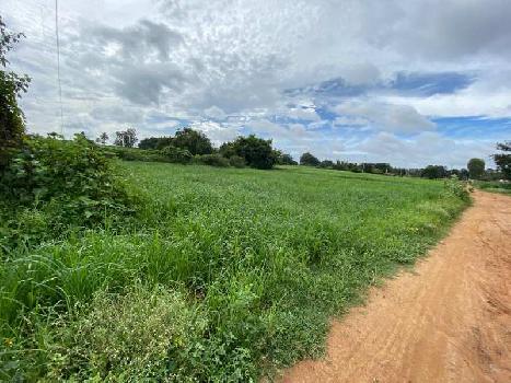 3.25 Acre Agricultural/Farm Land for Sale in Doddaballapur, Bangalore