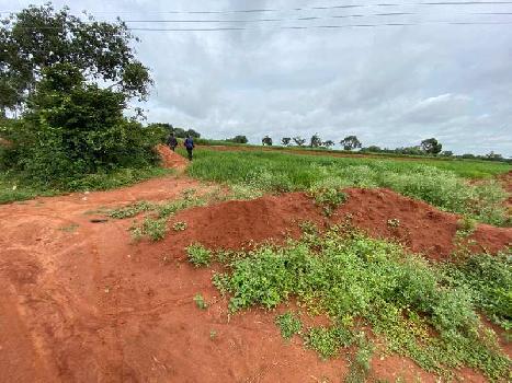 5 Acre Agricultural/Farm Land for Sale in Doddaballapur, Bangalore