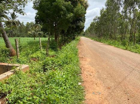Agricultural Land For Sale in Bangalore Rural