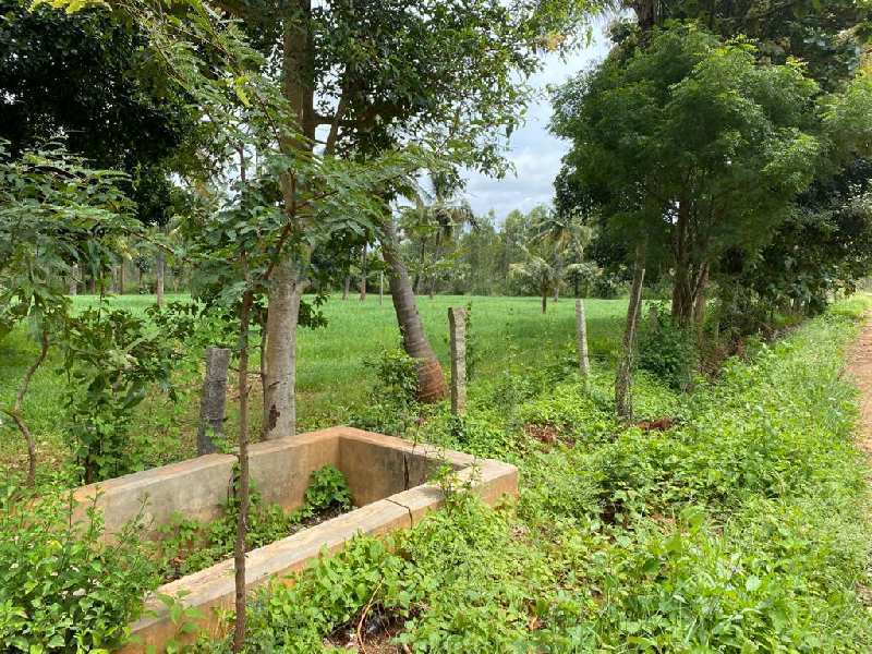 Agricultural Land For Sale in Bangalore Rural