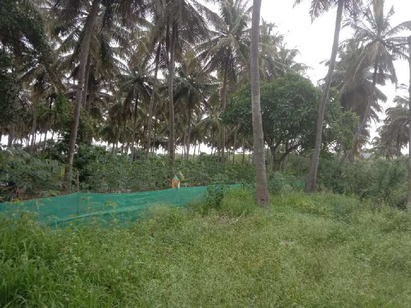 Farmland for sale in Nanjangud, Mysore
