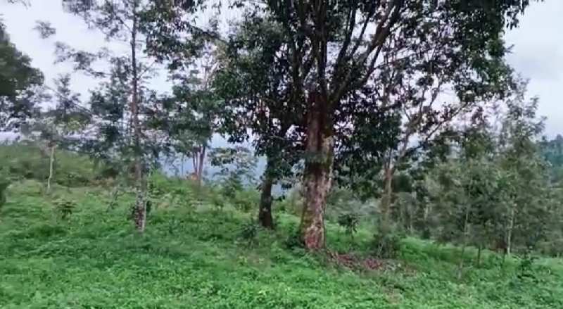 Farmland for sale in Coorg