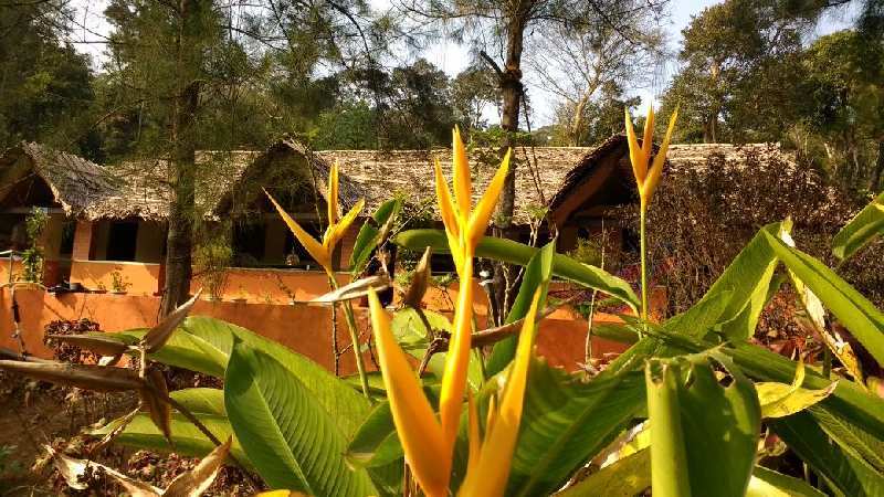 Coffee Estate With Homestay For Sale in Chikmagalur