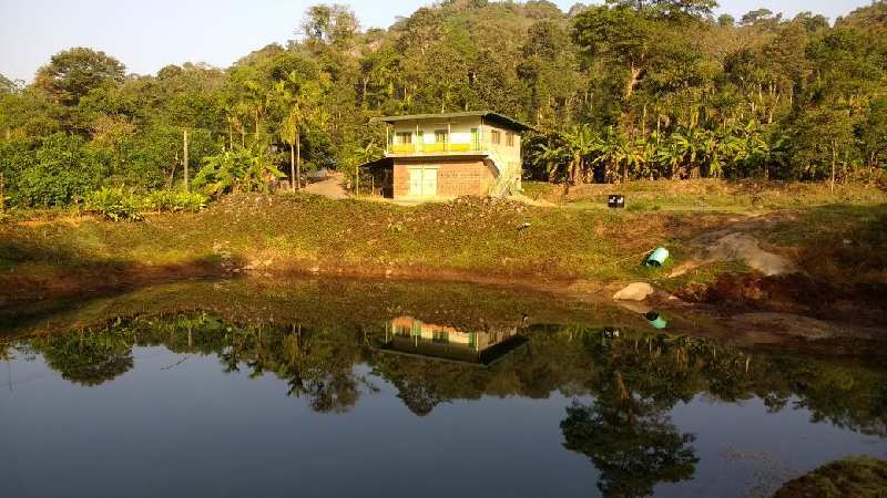Coffee Estate With Homestay For Sale in Chikmagalur