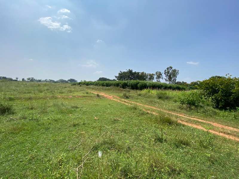 Agricultural Land For Sale In Bangalore