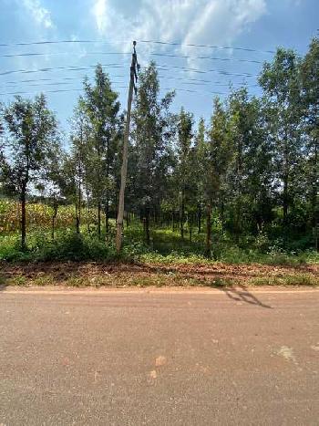 Agricultural land for sale near doddballapur