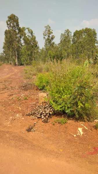 Agricultural land for sale in devanahalli, bangalore