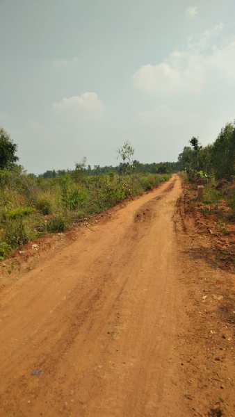Agricultural land for sale in devanahalli, bangalore
