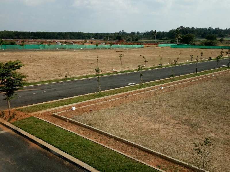 4000 Sq.ft. Residential Plot for Sale in Sarjapur Road, Bangalore