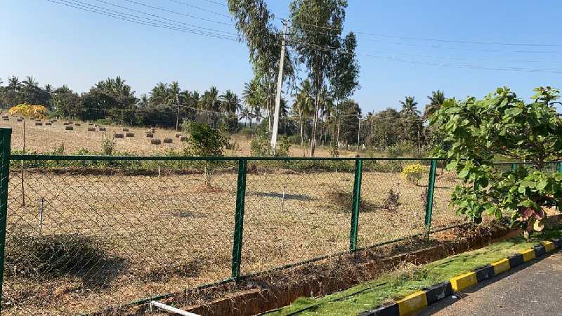Agricultural land for sale in yelahanka