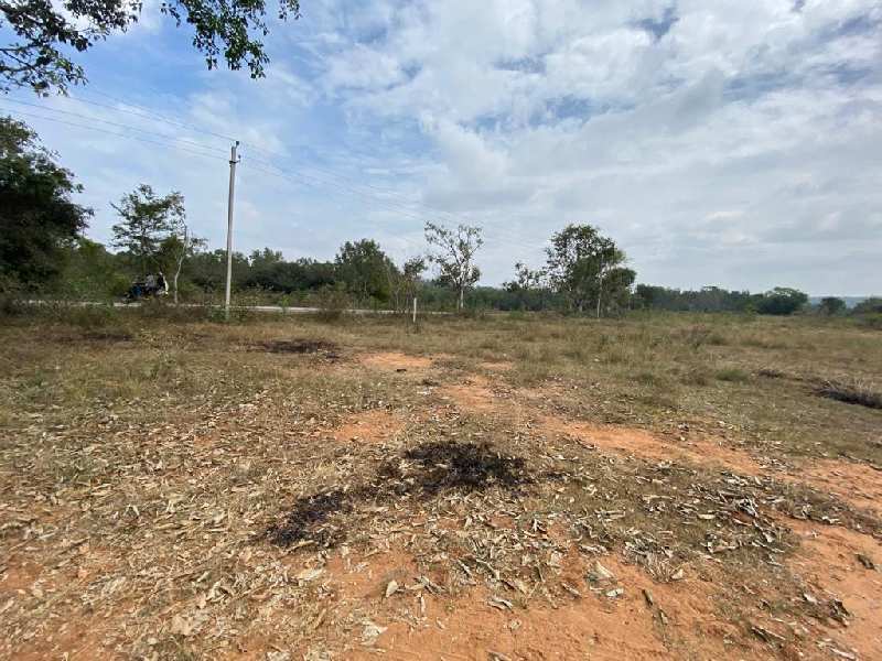 Agricultural land for sale in Bangalore