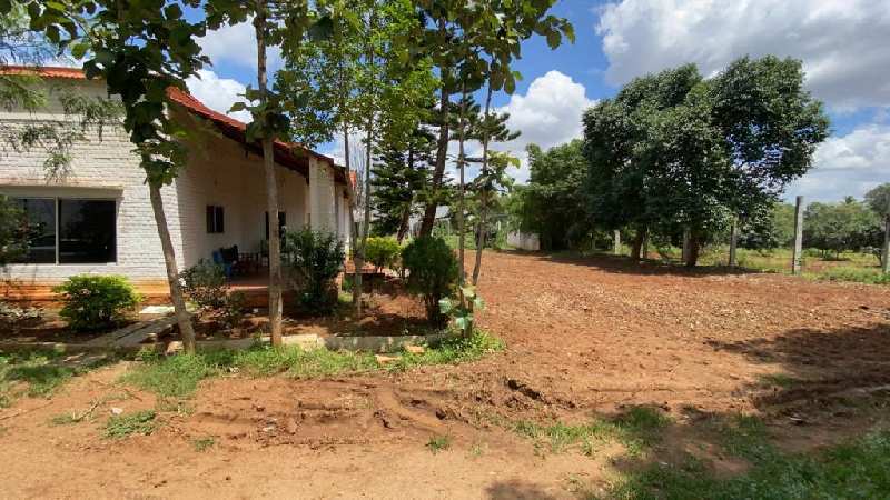 10 Acre Agricultural/Farm Land for Sale in Devanahalli, Bangalore (15 Acre)