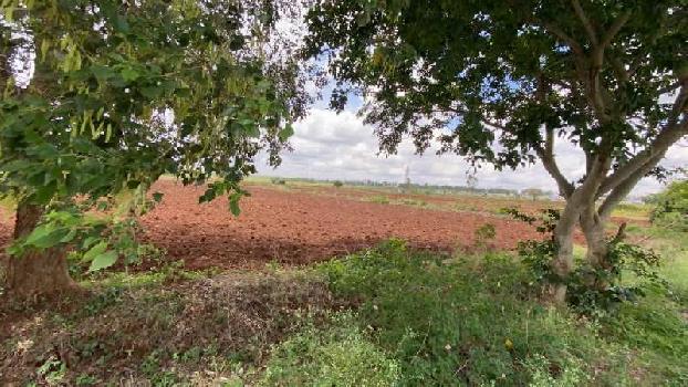 120 Ares Agricultural/Farm Land for Sale in Doddaballapur, Bangalore