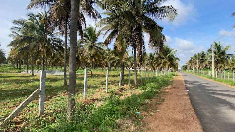 11 Acre Agricultural/Farm Land for Sale in Devanahalli, Bangalore