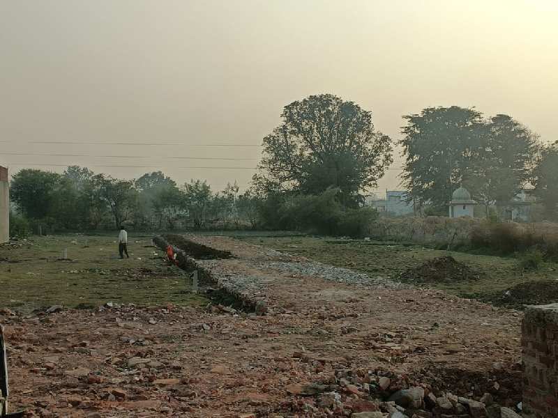 1000 Sq.ft. Commercial Lands /Inst. Land for Sale in Prem Vihar Colony, Satna